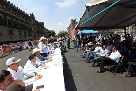 Sheinbaum planea aumentar precios de garantía para productos básicos, beneficiando a pequeños productores y fortaleciendo el campo mexicano.