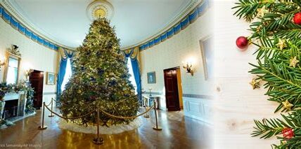 La Casa Blanca se viste de Navidad: unión, esperanza y calidez para cerrar un ciclo con los Biden. Decoraciones reflejan valores y tradiciones únicas.