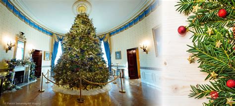 La Casa Blanca se viste de Navidad: unión, esperanza y calidez para cerrar un ciclo con los Biden. Decoraciones reflejan valores y tradiciones únicas.