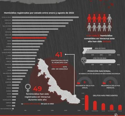 La violencia en Veracruz aumenta, reflejando la complejidad de problemas de seguridad que afectan a familias y comunidades. Urge reforzar medidas para recuperar la tranquilidad.