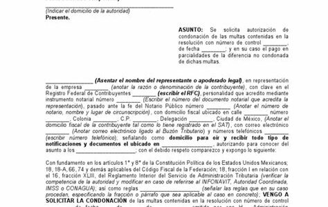 Empresarios sinaloenses solicitan condonación de impuestos tras sufrir pérdidas por inundaciones; buscan alivio fiscal para recuperar actividades económicas clave en la región.